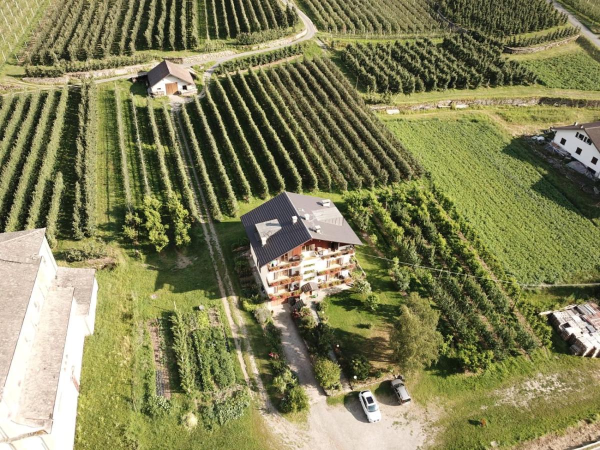 Ca' Marchesi Apartments Sernio Exteriör bild